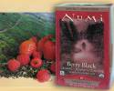 Berry Black- Raspberry Darjeeling